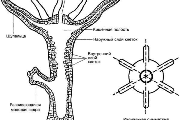 Активная ссылка кракен