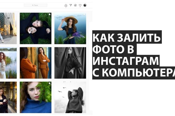 Гидра и кракен
