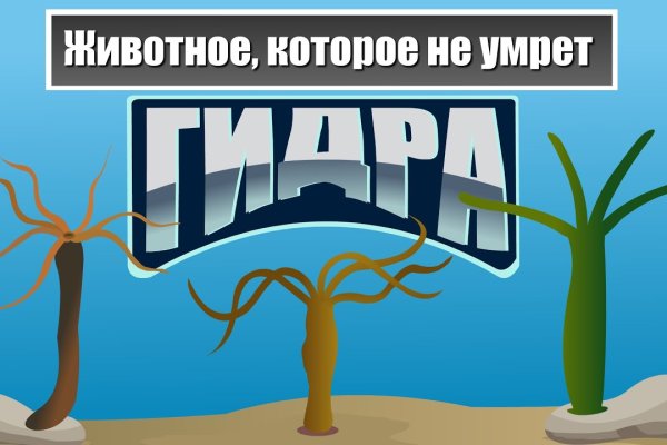 Kraken shop ссылка